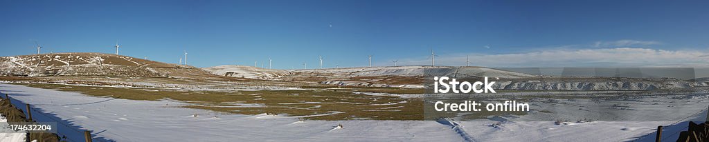Coupe-vent hiver panorama de la ferme - Photo de Agriculture libre de droits