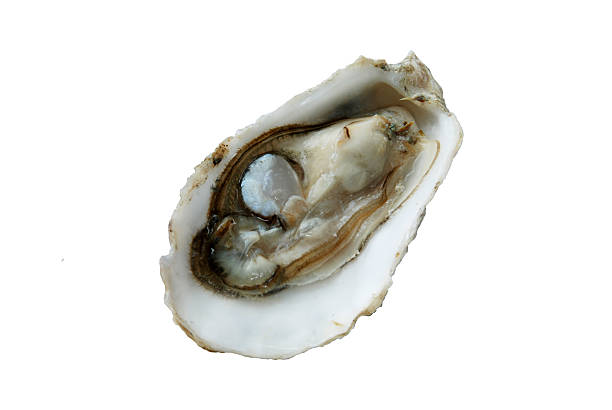 新鮮な水のオイスター - pacific oyster ストックフォトと画像