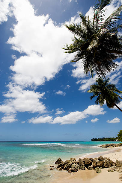 istock Idyllic Tropical Beach with Sea and White Clouds 174632639
