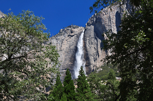 Yosemite National Park in California, USA