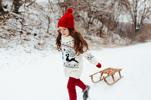Cheerful girl pulling sledge on the snow and having fun in the winter