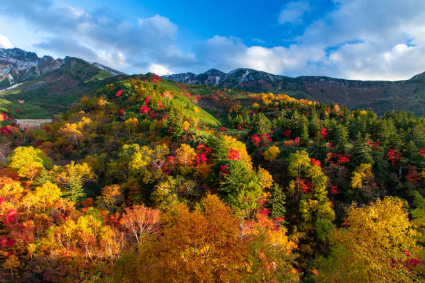 Autumn leaves of Tokachi  Dake mountains in Hokkaido. (the evening views). stock photo