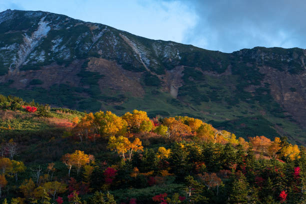 Autumn leaves of Tokachi  Dake mountains in Hokkaido. (the evening views). stock photo