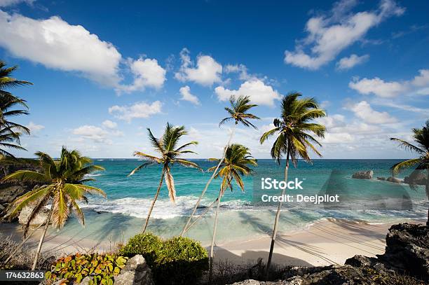 Harrismith Beach And Palm Trees On Barbados Stock Photo - Download Image Now - Barbados, Beach, Caribbean