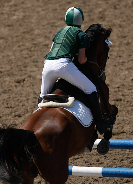 Overhead shot of a Show jumper