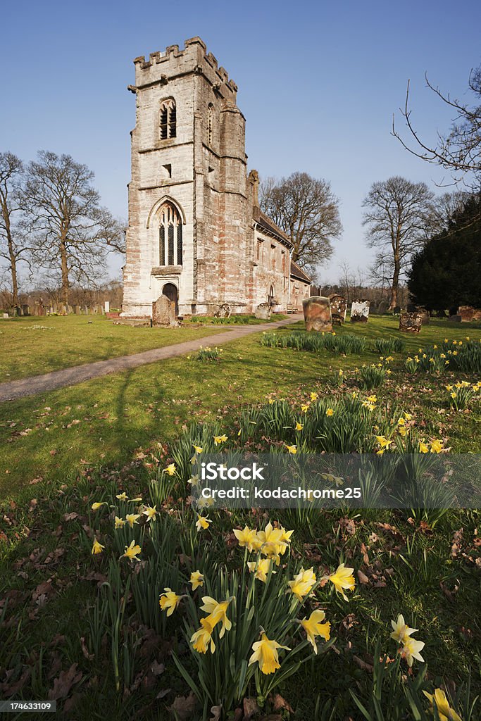 church church with daffodils in the foreground with the heart of england way footpath passing through the churchyard Afterlife Stock Photo