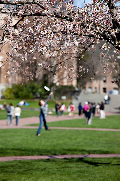桜のキャンパスμw - campus university walking school ストックフォトと画像