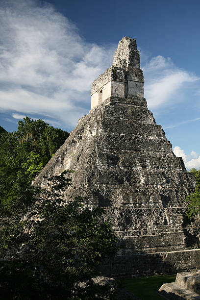 Cтоковое фото Руин precolumbian город Тикаль