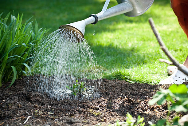 istock Watering the Garden 174633340