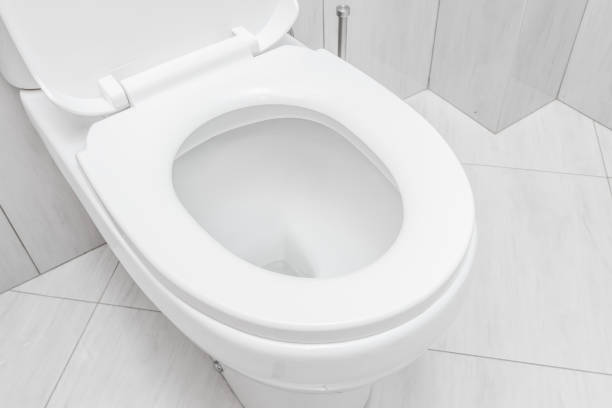 istock toilet bowl at domestic bathroom. 1746336612