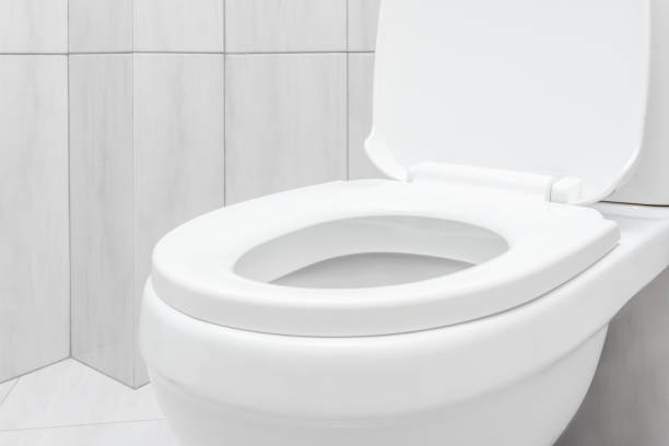 istock toilet bowl at domestic bathroom. 1746338357