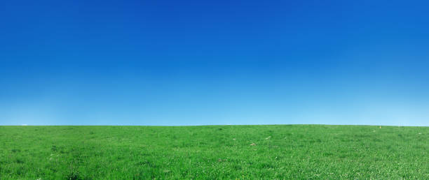 istock Panoramic spring landscape 94MPix  XXXXL meadow, clear, blue sky 174634516