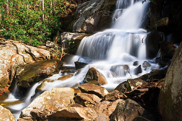 istock Laurel Falls in the Smokies 174635048