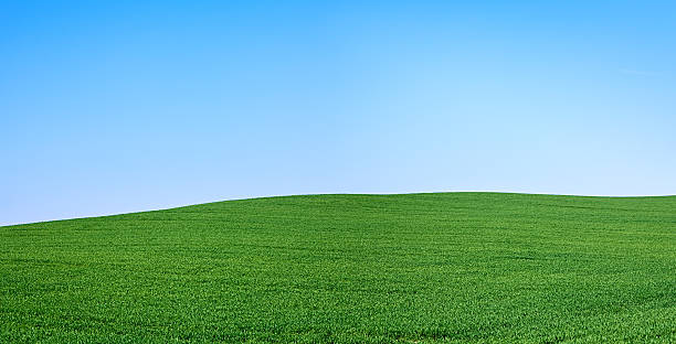 istock Spring landscape - 37MPix XXXXL size 174635313