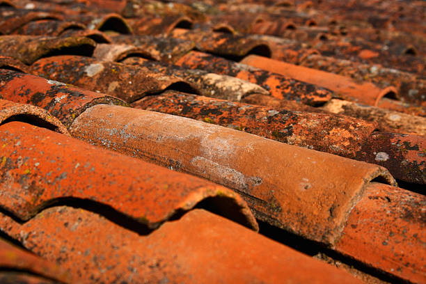 istock Roof Tiles 174635388