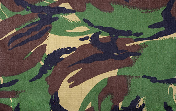 istock Woodland Army Camouflage 174635466