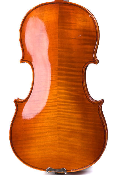 The back of a violin showing the figure in the wood grain.