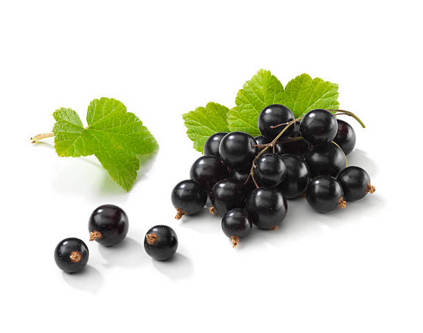 blackcurrant casco con leafs - currant food photography color image foto e immagini stock