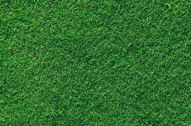 istock Short lush green grass on a sport field 174636330