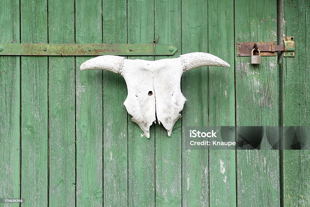 Verde Barn puerta - Foto de stock de Agricultura libre de derechos