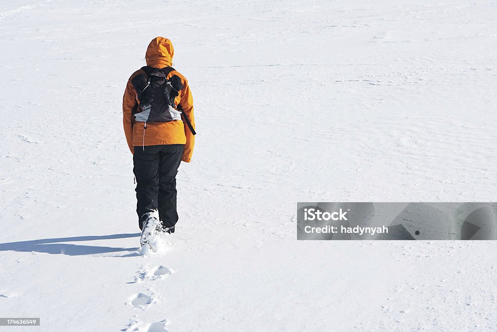 Paesaggio invernale - Foto stock royalty-free di Adulto