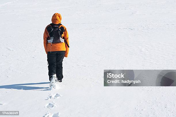 Paesaggio Invernale - Fotografie stock e altre immagini di Adulto - Adulto, Ambientazione esterna, Bellezza naturale