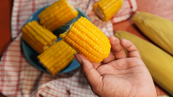someone's hand holding boiled corn. flat lay. theme of healthy eating and diet. boiled corn (jagung rebus)