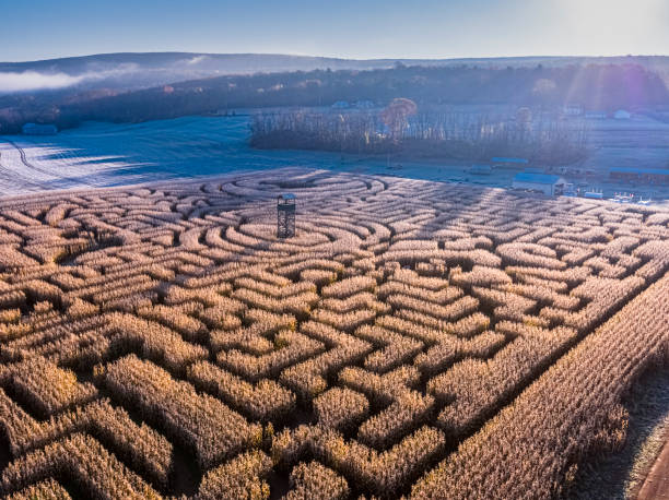 istock Corn Maze with observation tower in Pennsylvania, Saylorsburg, with scenery panoramic view of mountains in the sunny morning. 1746368079