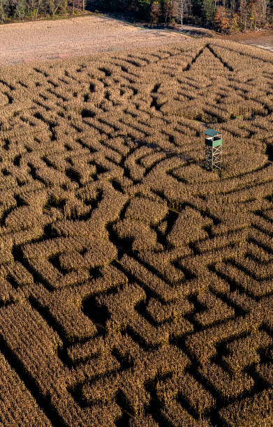 istock Corn Maze with observation tower in Pennsylvania, Saylorsburg, with scenery panoramic view in the morning in autumn. Extra-large, high-resolution, stitched panorama. 1746368111