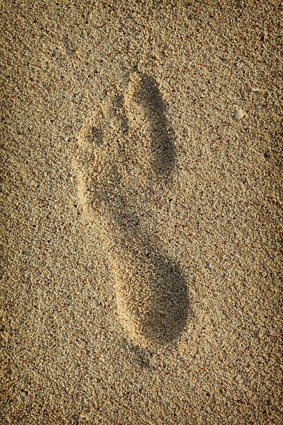 istock One footstep in the sand 174636917
