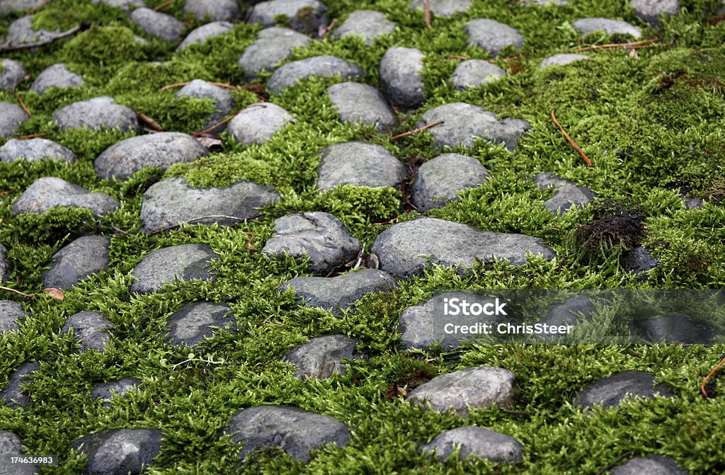 moss covered stones Horizontal Stock Photo