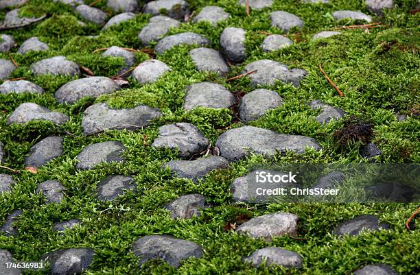 Moss Covered Stones Stock Photo - Download Image Now - Horizontal, Moss, Nature