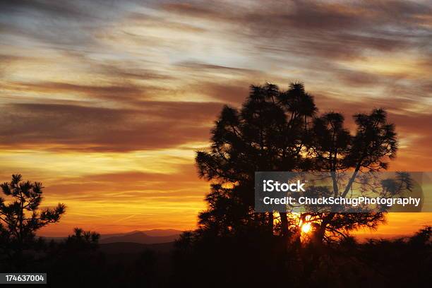 Tree Silhouette Puesta De Sol Romántica Foto de stock y más banco de imágenes de Aire libre - Aire libre, Aislado, Anochecer