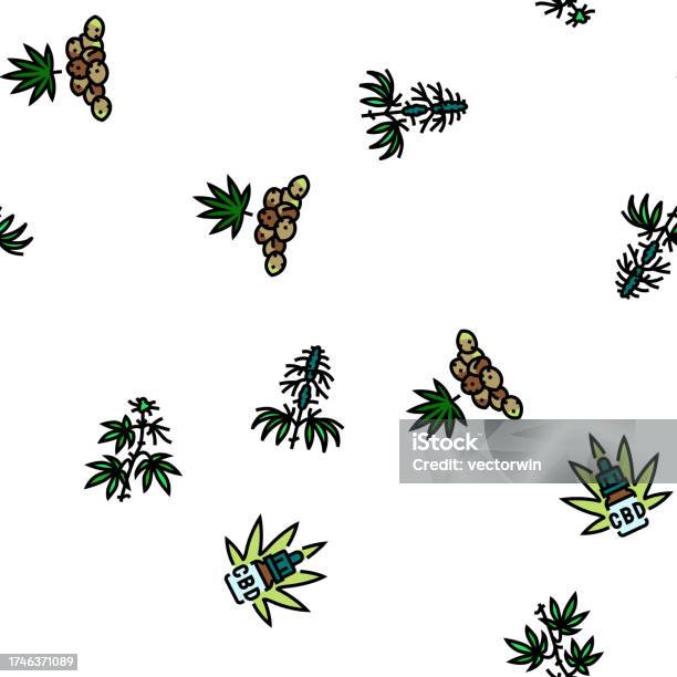Weed Pattern Vector Cannabis Plant Leaf Weed Hemp Vector Seamless Pattern Stock ...