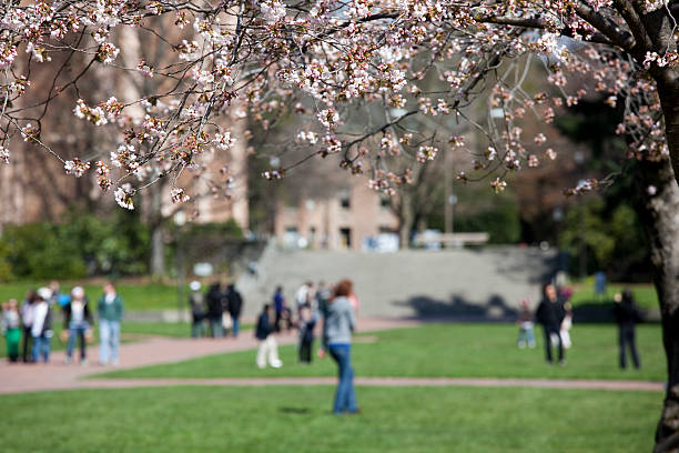 istock College Students on the UW Campus, with cherry blossoms 174637159