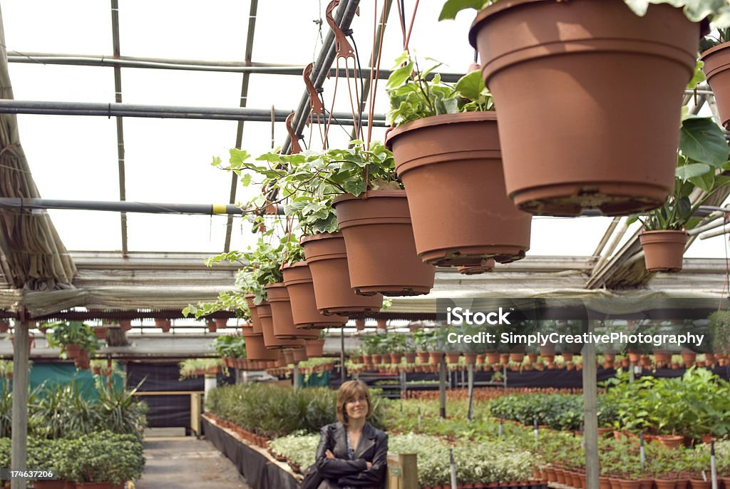 Woman in Greenhouse A female shopper in a greenhouse looks at the variety of spring plants. (note - shallow DOP with focus on hanging basket. Pentax FA31 @ f6.7) Adult Stock Photo