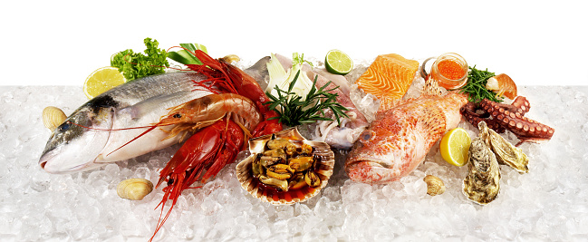 Fish and Seafood - Fish and Sea Food on Ice with Sea Weed, Caviar, Mussels, Oysters and Scallop isolated on white Background - Side View Banner