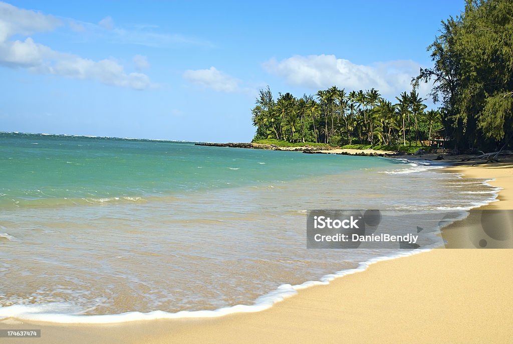 Tropical Island "North shore, Maui, Hawaii." Beach Stock Photo