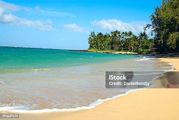 Tropical Island Stock Photo - Download Image Now - Beach, Beauty, Beauty In Nature