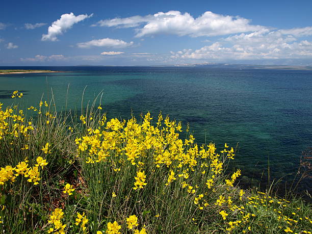 istock Picturesque Adriatic coast detail 174637740