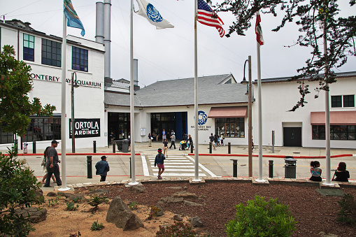 Monterey, United States - 13 Jul 2017: Aquarium in Monterey, California, USA