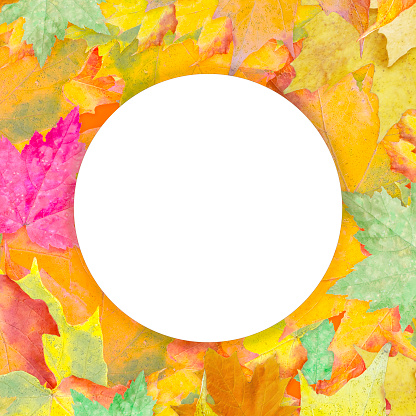 Round Frame on Autumn Leaves Background - copy space