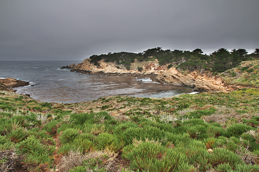 Big Sur is scenic road on west coast of USA