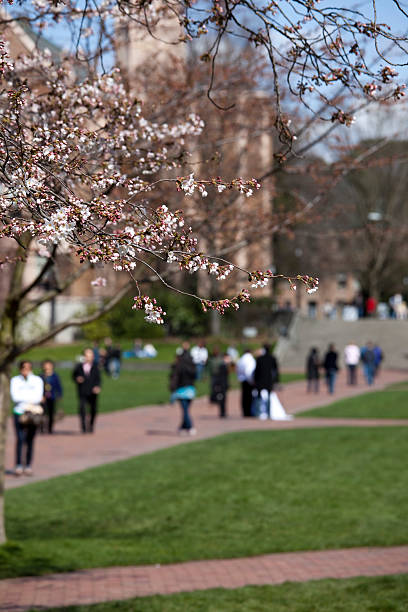 istock Students and Crowds enjoy Cherry Blossoms on the UW Campus 174638185