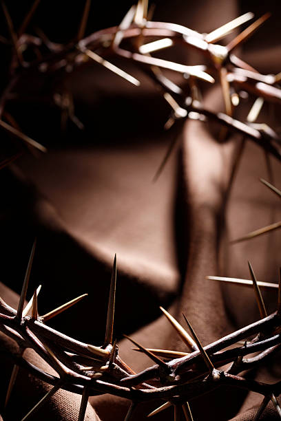 istock Crown of Thorns on Brown Background 174638893