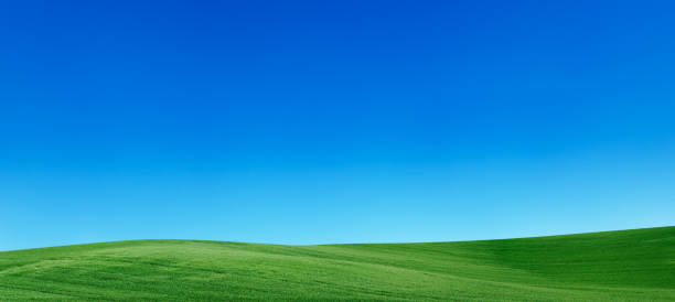 panorama frühling landschaft 55mpix xxxxl wiese, blauer himmel, - clear sky nature landscape field stock-fotos und bilder