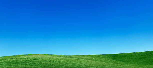 панорамный весенний пейзаж 55mpix xxxxl луг, голубое небо - rolling hill field green стоковые фото и изображения