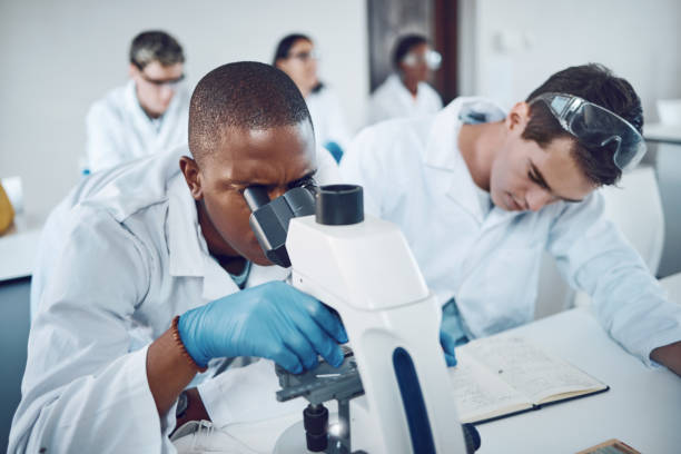 istock Microscope, science team and medical analysis for research innovation, planning results and scientists working in laboratory. Microbiology, report collaboration and biotechnology analytics in lab 1746392973