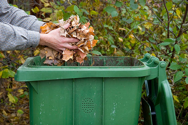 istock Tossing leaves in the Green Bin 174639739