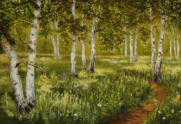 illustrations, cliparts, dessins animés et icônes de birchwood. - footpath field nature contemplation